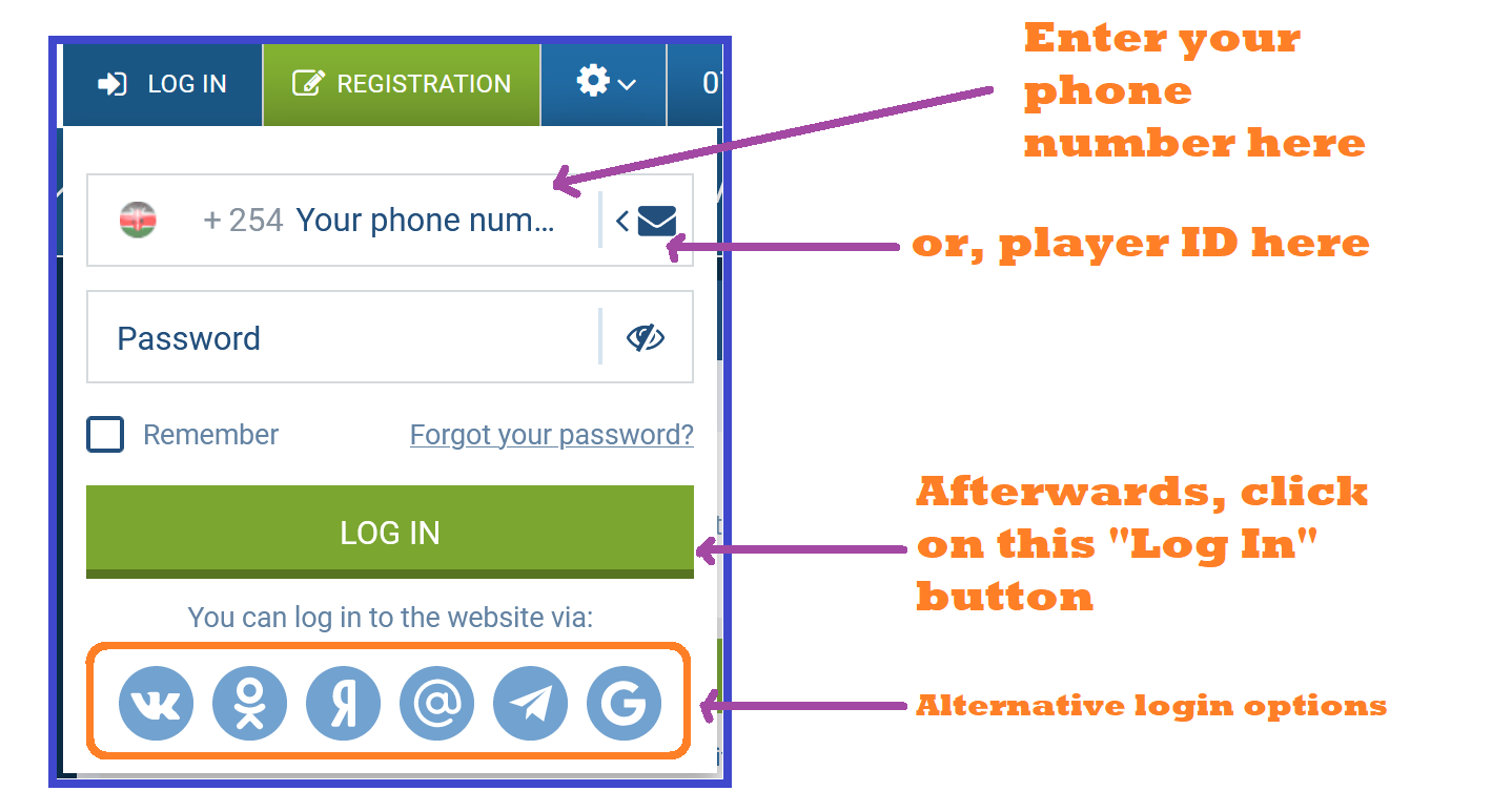 1xBet Tanzania login pane; enter your login credentials here